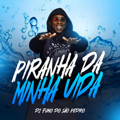 PIRANHA DA MINHA VIDA - MC GN SHEIK , MC GW , MC MARI , MC PEXIN ((DJ FUMO DO SÃO PEDRO))