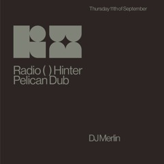 DJ Merlín // Pelican Dub // 11-09-2025