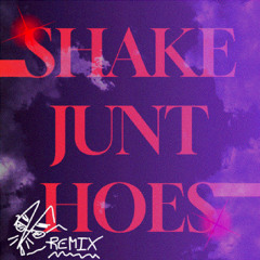 SHAKE JUNT HOES - RAK REMIX