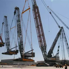 Crane