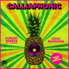 Calliaphonic - Sunset Breeze