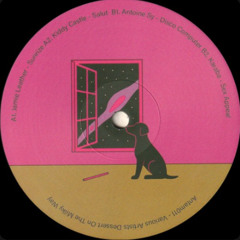 Premiere : Karaba - Computer Talk (ANTAM011)