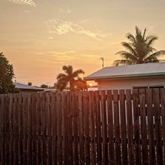 Island Girl - 🤝🍻