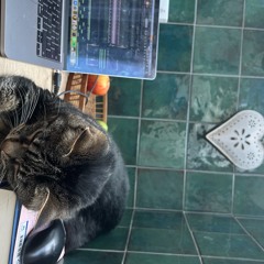 White Bin Speed Garage (FREE DL)