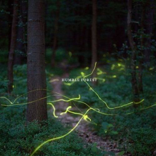humble forest