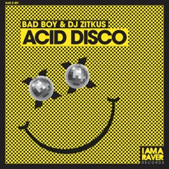 IAAR Records 001 DJ Zitkus - Acid Disco