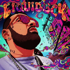 Liquiduck - Dave's Question