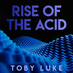 Rise Of The Acid (Original Mix)