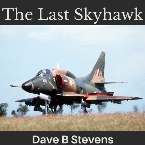 The Last Skyhawk
