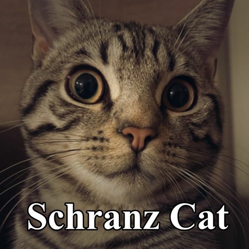 【Free Track】Schranz Cat