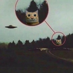 Stefcho Bend  -  Ritam TALLAVA 2022 ⧸⧸  Стефчо Бенд - Ритам ТАЛАВА 2022