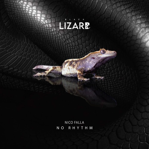 Nico Falla - No Rhythm