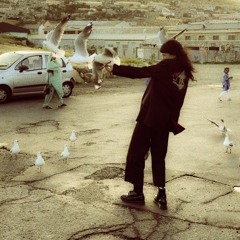 Flock Together