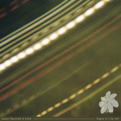 Jad & The - Potato Peelerz