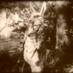 Wonderland (4Hz Binaural Beats)