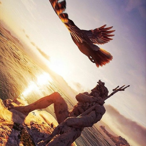 An Unforgettable Odyssey