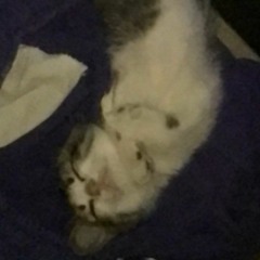 Gravity -Anthony Lazaro (cover by moku)