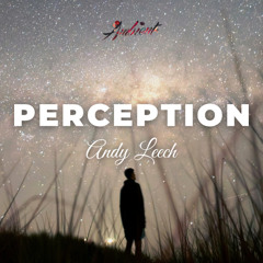 Andy Leech - Perception