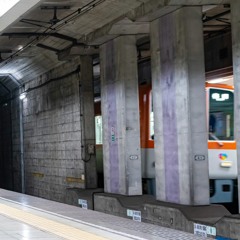 NISHIDAInst