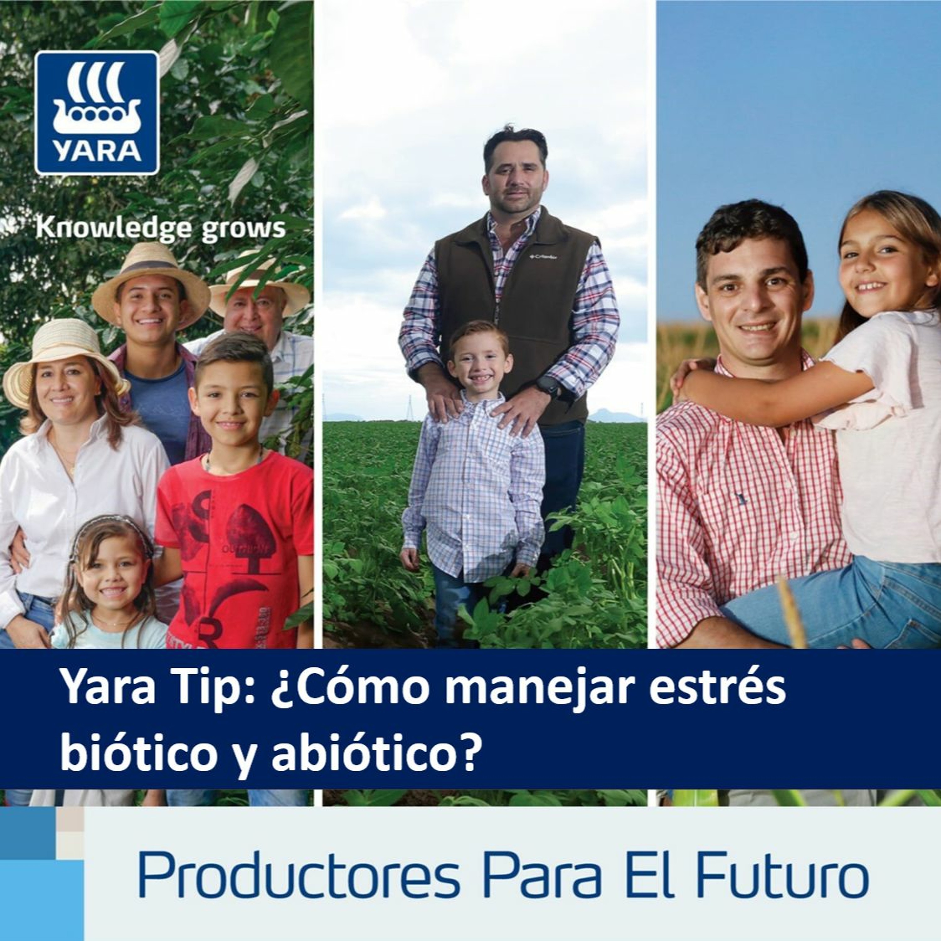 Productores Para El Futuro