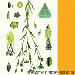 Anton Kubikov • Herbarium Ep(Four tracks Preview )
