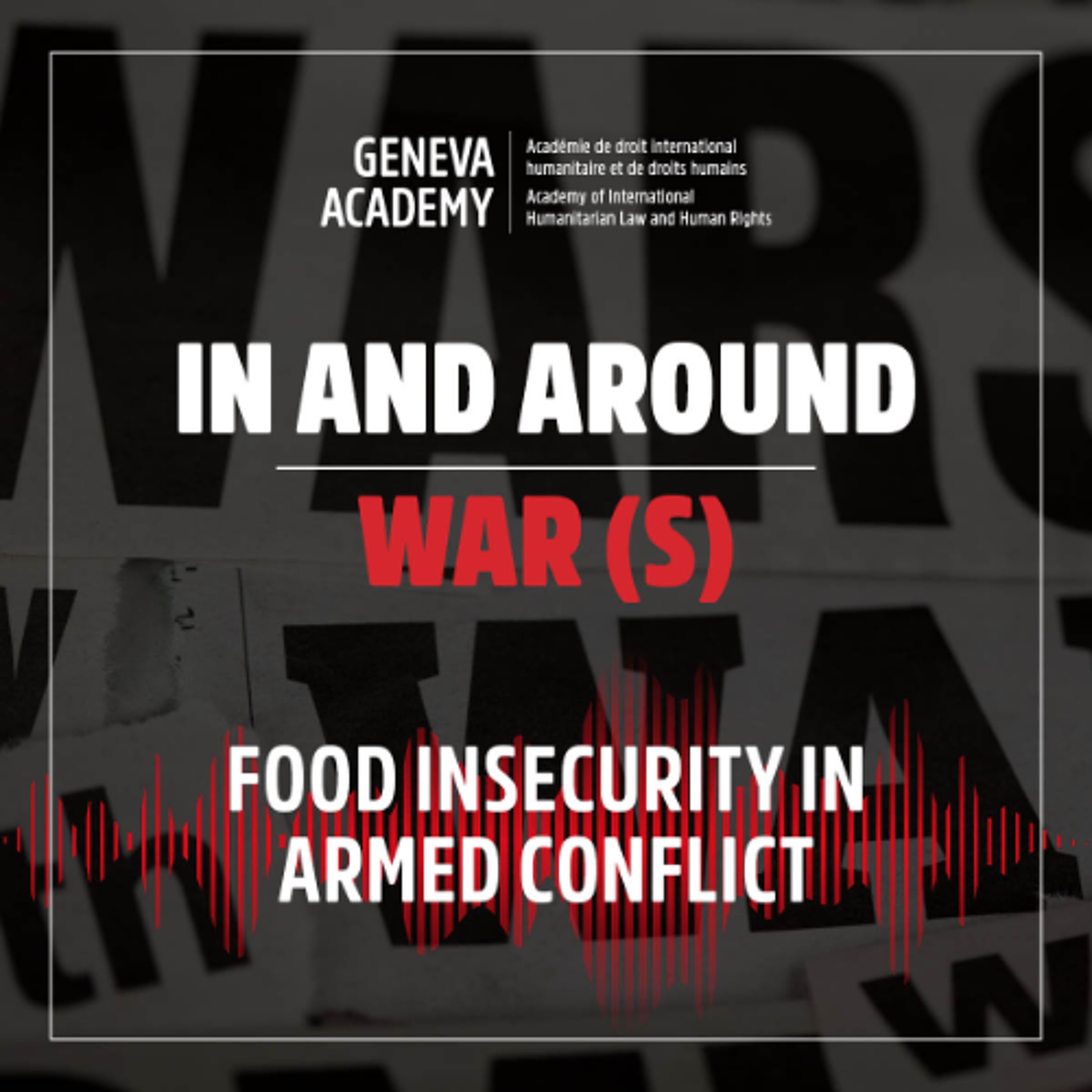 Geneva Academy of International Humanitarian Law and Human Rights