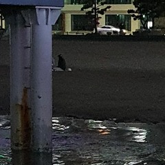 비밀작전(Feat.유영)