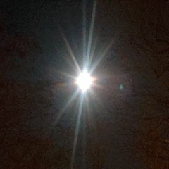 Night Owl