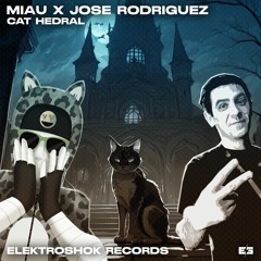 MIAU & Jose Rodriguez - Cat Hedral
