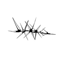 JXXXO - TERCER INTENTO