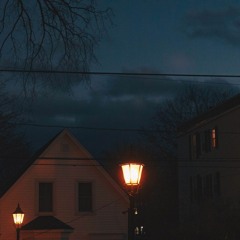 and then the sun will shatter into countless streetlamp bugs