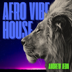 Afro Vibe House Mix set by Stereographer