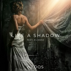 Like A Shadow
