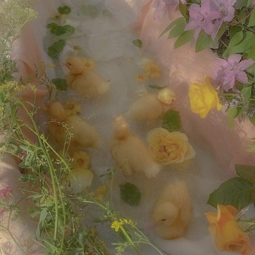 indie vibes└|∵|┐♪