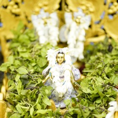 Baldev - Vaishnava Thakura  19.03.2023