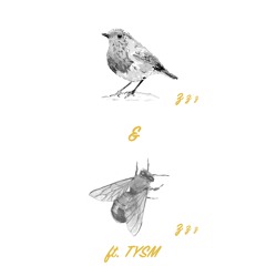 Birds & Beez (ft. TYSM)