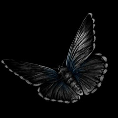 Mahara Mothra (Beat By. Jay Fehrman)(Prod. Align)