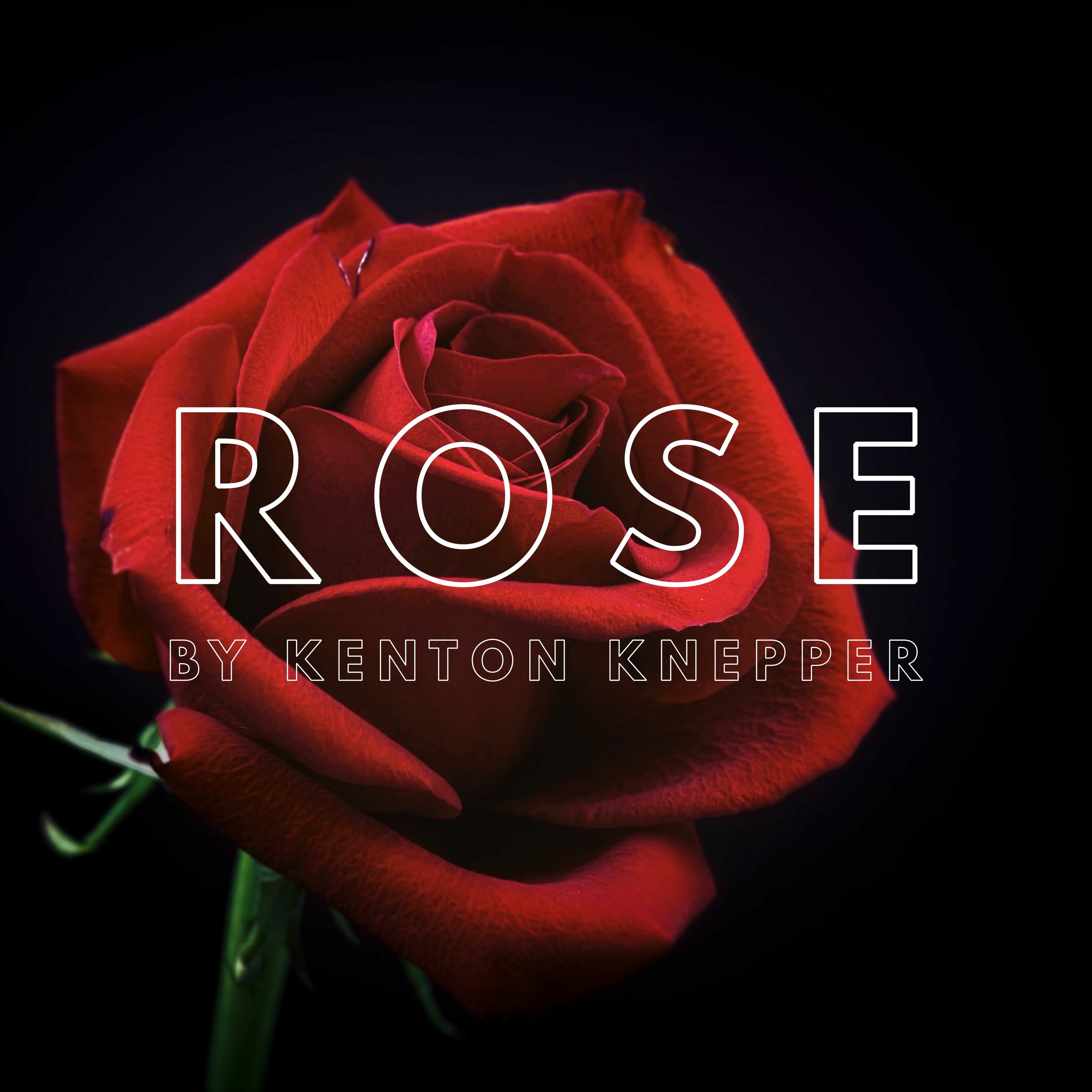 Rose episode artwork