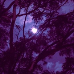 Slayer808-Night Breeze