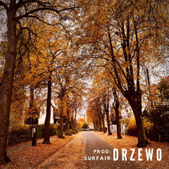 Drzewo