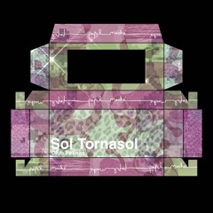 Papel Maché 029 - Sol Tornasol