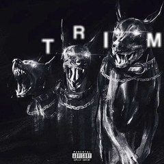 Heath Ledger (prod. topxoul)