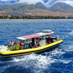 Review Special Price 2 Tank Lanai Cathedral Scuba Dive Via Boat For Certified Divers