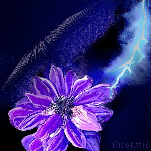 Blossom In The Thunderstorm