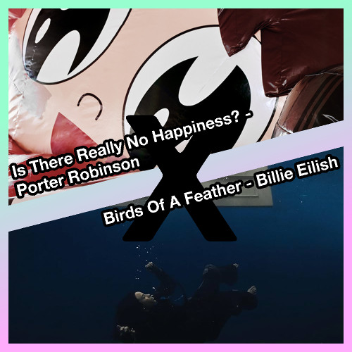 Birds With No Happiness