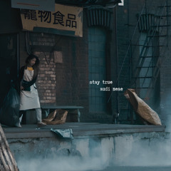 Audi Meae - Stay True