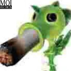 POROTO - FUMANDO PORRO #INTRO