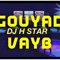 GOUYAD VAYB MIXX