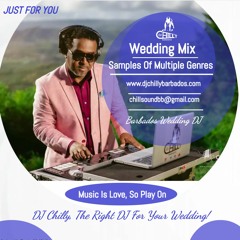 DJ Chilly Barbados Wedding Mix Vol. One (A Sample Of Multiple Genres)