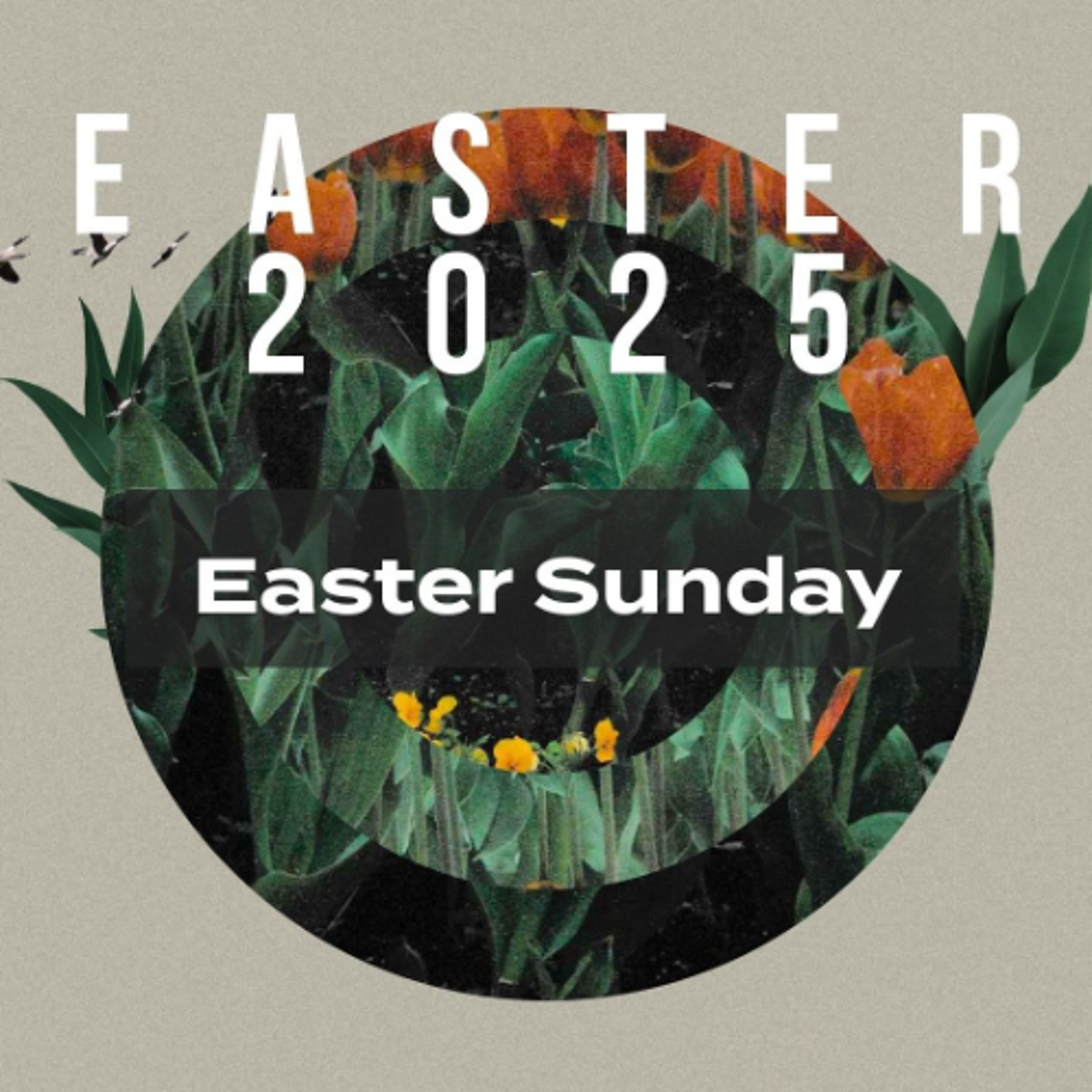 Sunday 20th April // Easter Sunday - Resurrection Hope